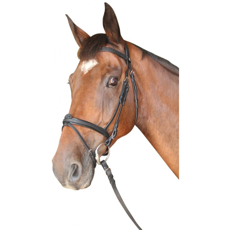 Cabezada Cabourg Privilege Equitation