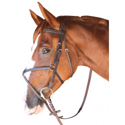 Cabezada Cabourg Cruz Privilege Equitation