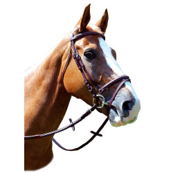 Cabezada Royan Privilege Equitation