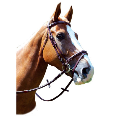 Cabezada Royan Privilege Equitation