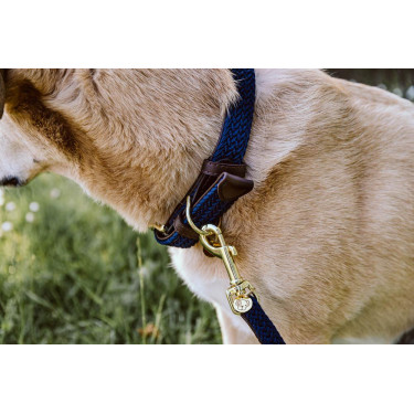 Collar para perro trenzado de nailon Kentucky Collar para perro trenzado de nailon Kentucky