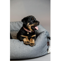 Hondenhalsband Velvet Kentucky Rosa viejo