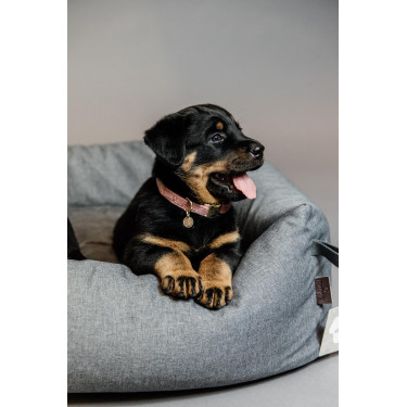 Hondenhalsband Velvet Kentucky Rosa viejo