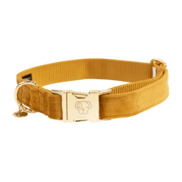 Collar para perro Velvet Kentucky Mostaza Amarillo