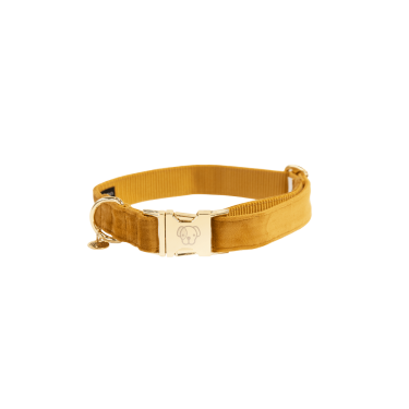 Collar para perro Velvet Kentucky Collar para perro Velvet Kentucky