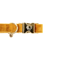 Collar para perro Velvet Kentucky Mostaza Amarillo