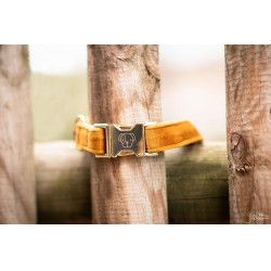 Collar para perro Velvet Kentucky Collar para perro Velvet Kentucky