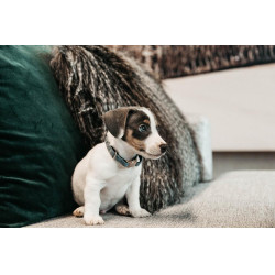 new Azúl claro new Azúl claro