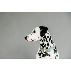 new Azúl claro new Azúl claro