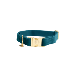Collar para perro Velvet Kentucky Esmeralda Verde Collar para perro Velvet Kentucky Esmeralda Verde