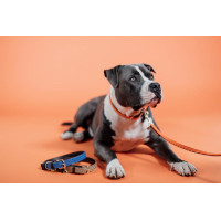 new Azul marino new Azul marino