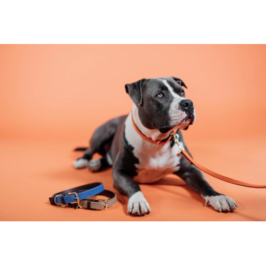 Correa para perro de nailon trenzado 120 cm Kentucky Correa para perro de nailon trenzado 120 cm Kentucky