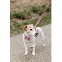 Correa para perro Velvet 120 cm Kentucky Rosa viejo