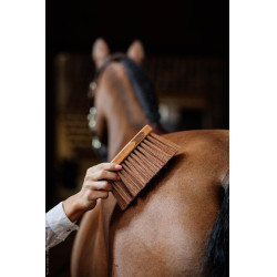 Tapón medio medium Kentucky Tapón medio medium Kentucky