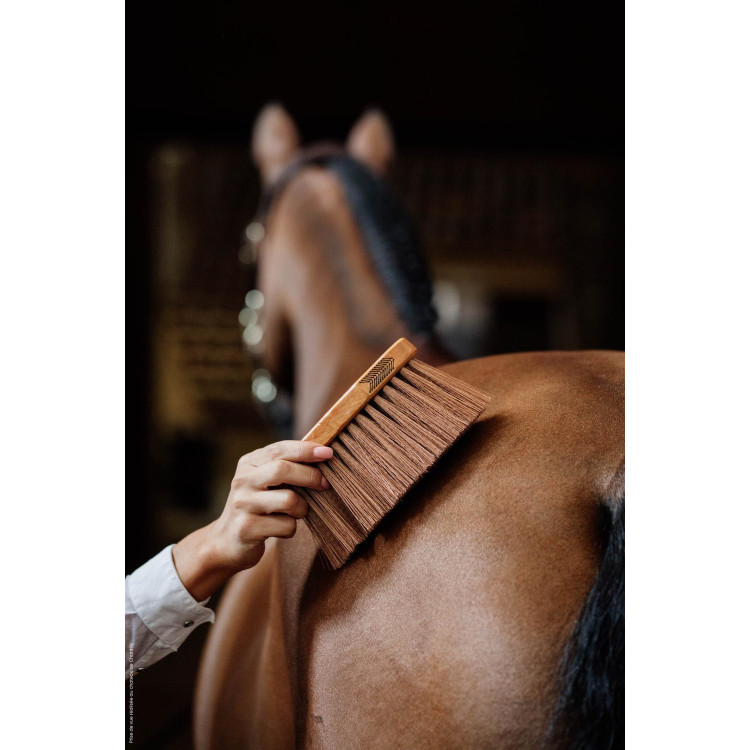 Tapón medio medium Kentucky Tapón medio medium Kentucky