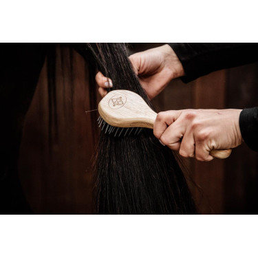 Cepillo de crin Kentucky Cepillo de crin Kentucky