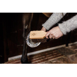 Cepillo para cascos Kentucky Cepillo para cascos Kentucky