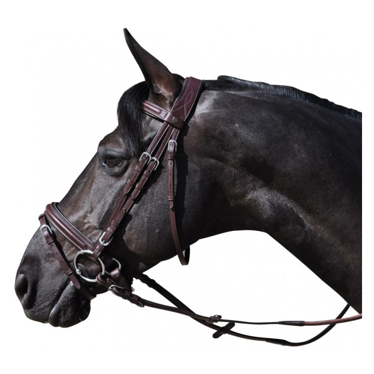 Cabezada Hickstead Flags and Cup