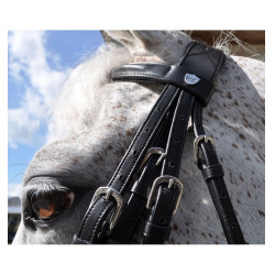 Novias Hagen Banderas y Copa