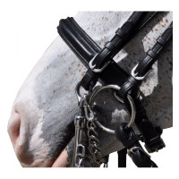 Novias Hagen Banderas y Copa Novias Hagen Banderas y Copa