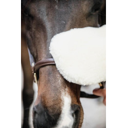 Guante de cepillado de oveja Kentucky Natural Marrón