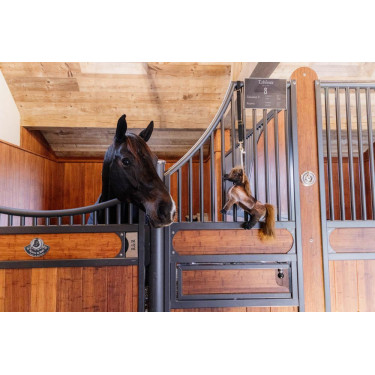 Juguete Relajante Tableux Kentucky Juguete Relajante Tableux Kentucky