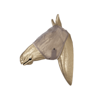 new Beige new Beige