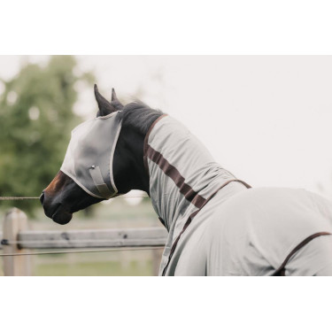Mosquera Classic sin orejas Kentucky Mosquera Classic sin orejas Kentucky