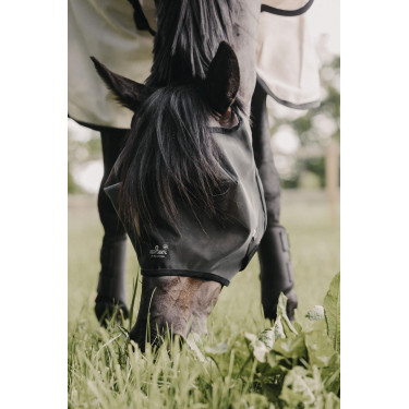 Mosquera Classic sin orejas Kentucky Mosquera Classic sin orejas Kentucky