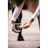 Pequeño limpiacascos Kentucky Castaño Marrón