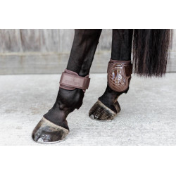 Protector de menudillo para caballos jóvenes Kentucky Protector de menudillo para caballos jóvenes Kentucky
