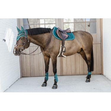 Protectores para menudillo caballos jóvenes Velvet Kentucky Protectores para menudillo caballos jóvenes Velvet Kentucky