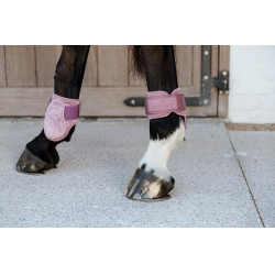 Protectores para menudillo caballos jóvenes Velvet Kentucky Rosa viejo