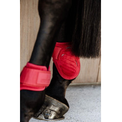 Protectores para menudillo caballos jóvenes Velvet Kentucky