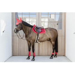 Protectores para menudillo caballos jóvenes Velvet Kentucky Roja Rojo Protectores para menudillo caballos jóvenes Velvet Kentucky Roja Rojo