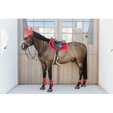 Protectores para menudillo caballos jóvenes Velvet Kentucky Protectores para menudillo caballos jóvenes Velvet Kentucky