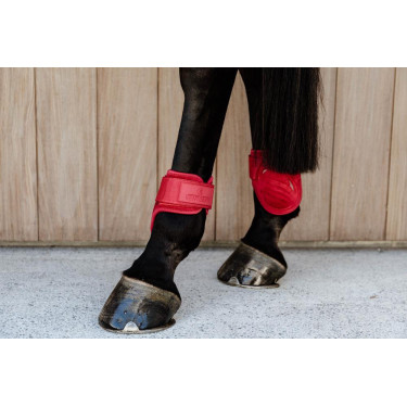 Protectores para menudillo caballos jóvenes Velvet Kentucky Protectores para menudillo caballos jóvenes Velvet Kentucky