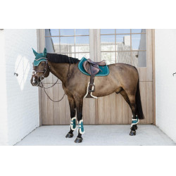 Protectores para menudillo caballos jóvenes Velvet borreguillo vegano Kentucky Esmeralda Verde Protectores para menudillo caballos jóvenes Velvet borreguillo vegano Kentucky Esmeralda Verde