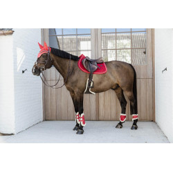 Protectores para menudillo caballos jóvenes Velvet borreguillo vegano Kentucky Roja Rojo Protectores para menudillo caballos jóvenes Velvet borreguillo vegano Kentucky Roja Rojo