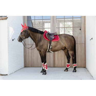 Protectores para menudillo caballos jóvenes Velvet borreguillo vegano Kentucky Roja Rojo Protectores para menudillo caballos jóvenes Velvet borreguillo vegano Kentucky Roja Rojo