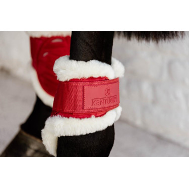 Protectores para menudillo caballos jóvenes Velvet borreguillo vegano Kentucky Roja Rojo Protectores para menudillo caballos jóvenes Velvet borreguillo vegano Kentucky Roja Rojo