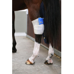 Calcetín Tendon Grip Kentucky Calcetín Tendon Grip Kentucky