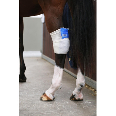 Calcetín Tendon Grip Kentucky Calcetín Tendon Grip Kentucky