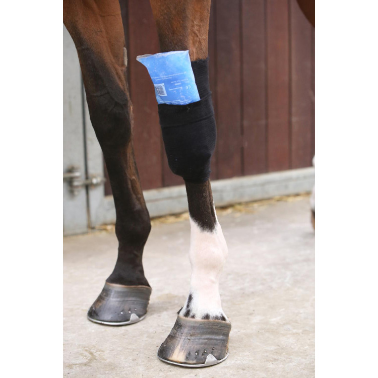 Calcetín Tendon Grip Kentucky