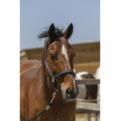 Cabezada de cuadra NORTON Zari Azul marino