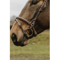 Brida Norton Club Deco Havana Marrón Brida Norton Club Deco Havana Marrón