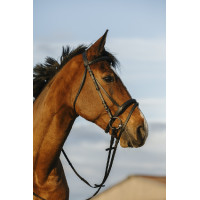Cabezada RIDING WORLD muserola doble con cierraboca Negro