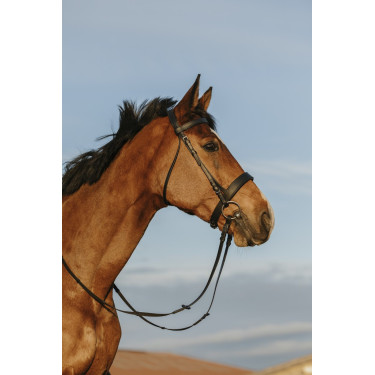 Cabezada de montar RIDING WORLD Muserola ancha Cabezada de montar RIDING WORLD Muserola ancha