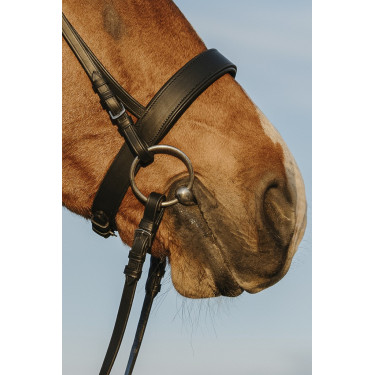 Cabezada de montar RIDING WORLD Muserola ancha Cabezada de montar RIDING WORLD Muserola ancha