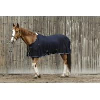 Camisa EQUITHEME Micro Mesh Azul marino